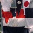 Nautical flags