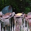 saddle western