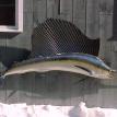 Sailfish 